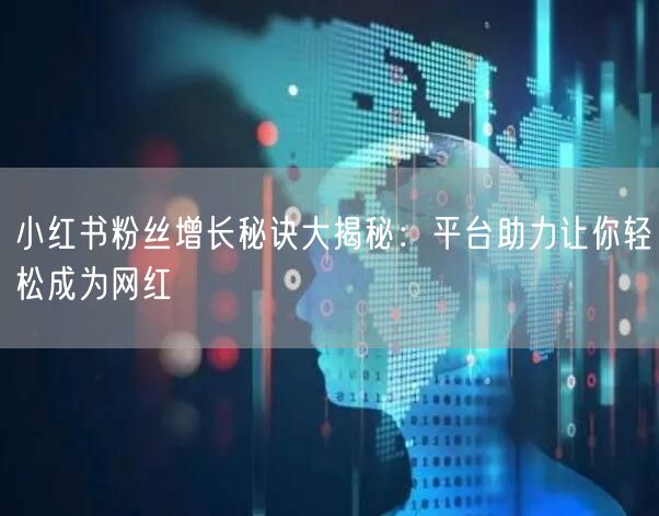 小红书粉丝增长秘诀大揭秘：平台助力让你轻松成为网红