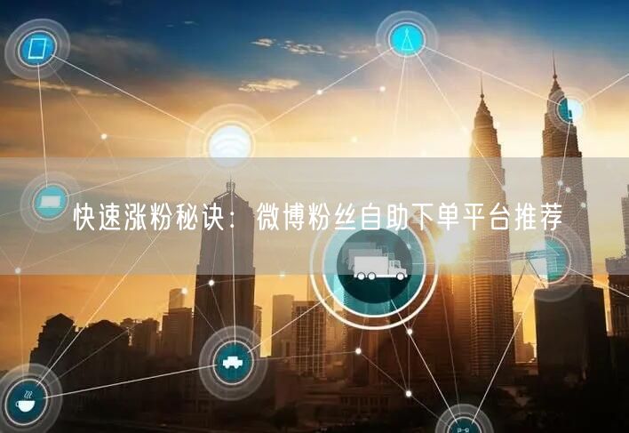 快速涨粉秘诀：微博粉丝自助下单平台推荐