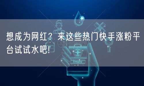 想成为网红?来这些热门快手涨粉平台试试水吧!