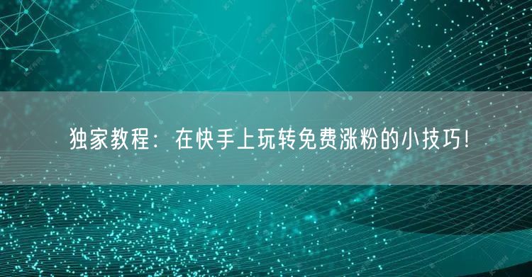独家教程:在快手上玩转免费涨粉的小技巧!