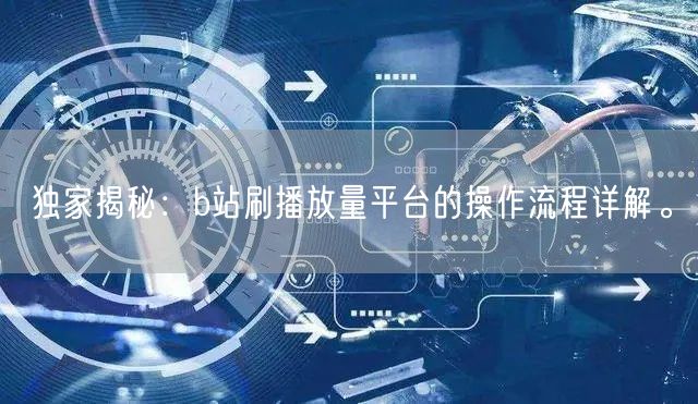 独家揭秘：b站刷播放量平台的操作流程详解。