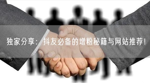 独家分享:抖友必备的增粉秘籍与网站推荐!