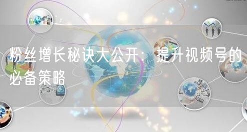 粉丝增长秘诀大公开:提升视频号的必备策略