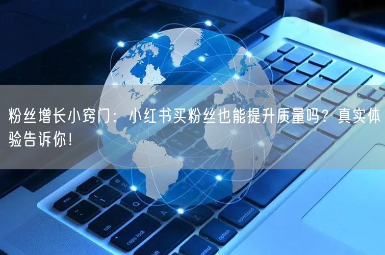 粉丝增长小窍门：小红书买粉丝也能提升质量吗？真实体验告诉你！
