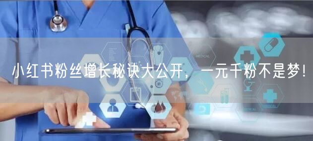 小红书粉丝增长秘诀大公开，一元千粉不是梦！