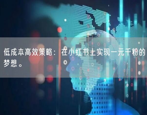 低成本高效策略：在小红书上实现一元千粉的梦想。