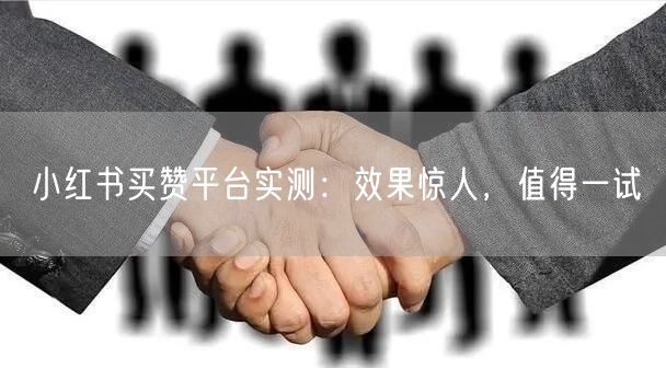 小红书买赞平台实测：效果惊人，值得一试