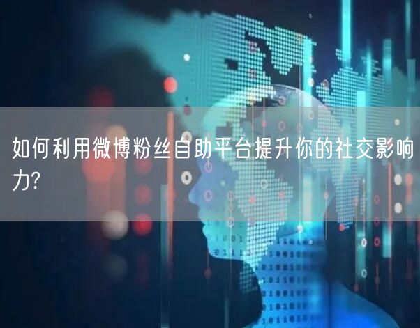 如何利用微博粉丝自助平台提升你的社交影响力?