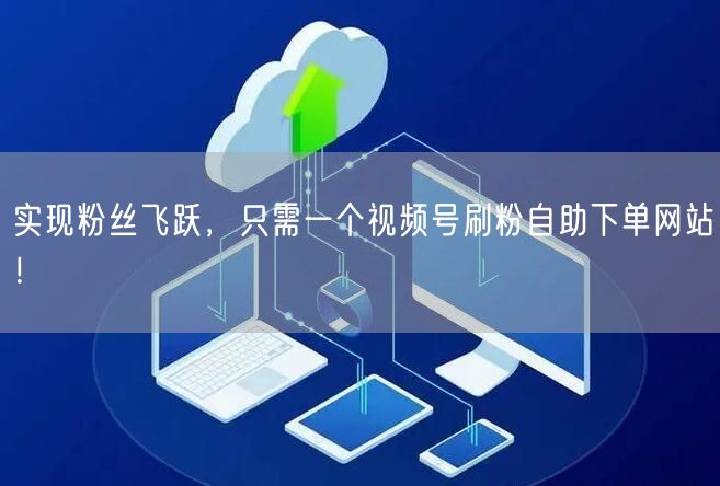 实现粉丝飞跃，只需一个视频号刷粉自助下单网站！