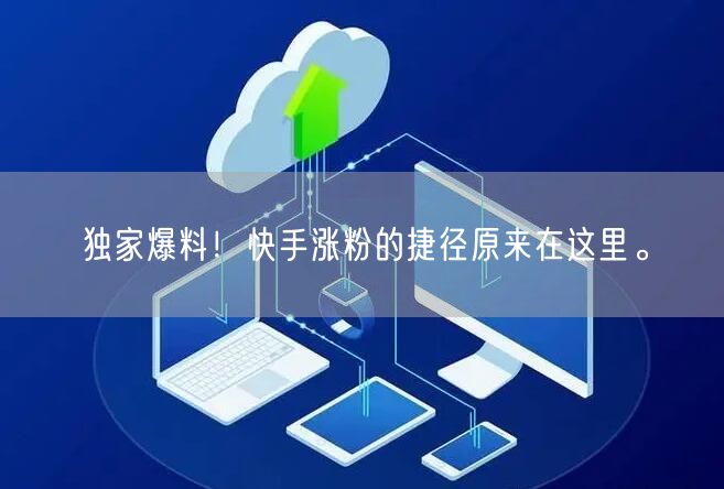 独家爆料!快手涨粉的捷径原来在这里。