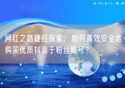 网红之路捷径探索:如何高效安全地购买优质抖音千粉丝账号?