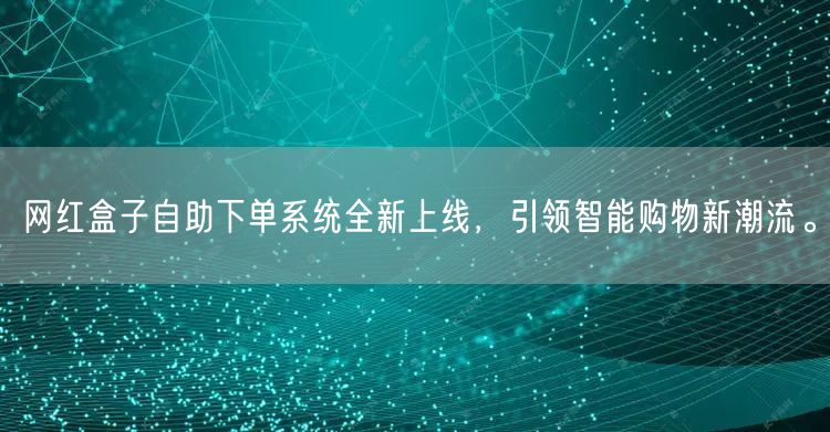 网红盒子自助下单系统全新上线,引领智能购物新潮流。