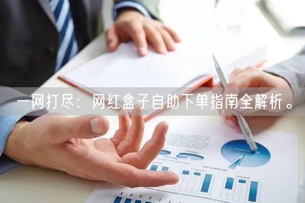 一网打尽:网红盒子自助下单指南全解析。