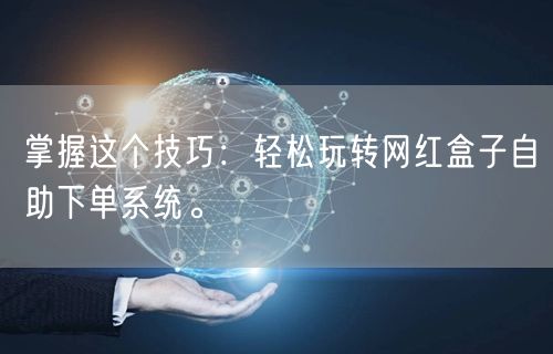 掌握这个技巧:轻松玩转网红盒子自助下单系统。