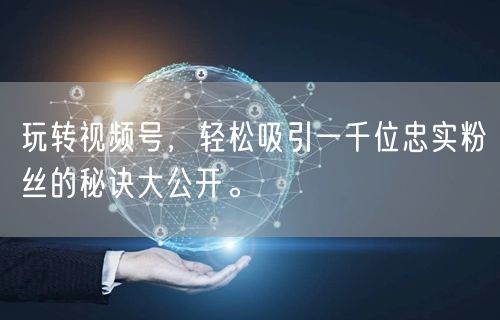 玩转视频号，轻松吸引一千位忠实粉丝的秘诀大公开。