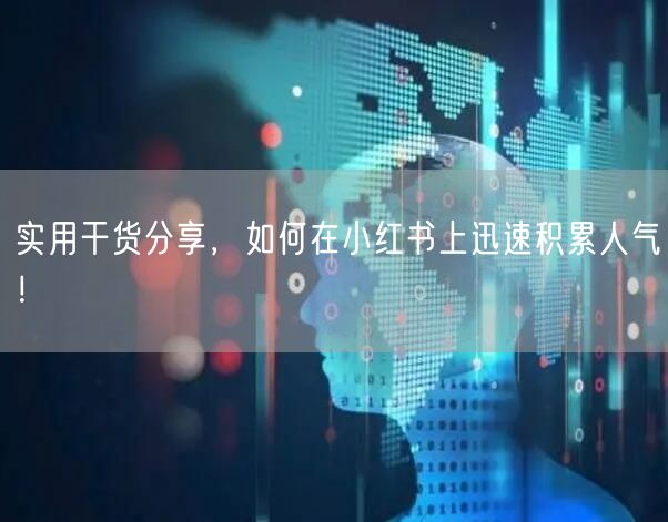 实用干货分享,如何在小红书上迅速积累人气!
