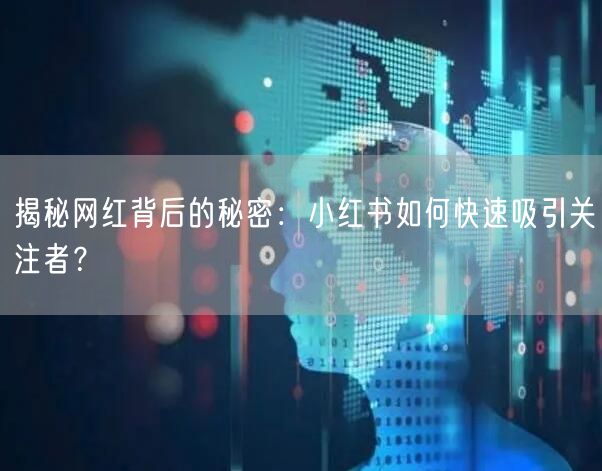 揭秘网红背后的秘密：小红书如何快速吸引关注者？