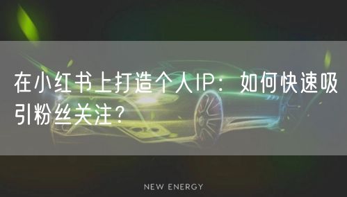 在小红书上打造个人IP：如何快速吸引粉丝关注？