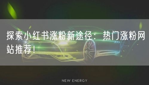 探索小红书涨粉新途径：热门涨粉网站推荐！