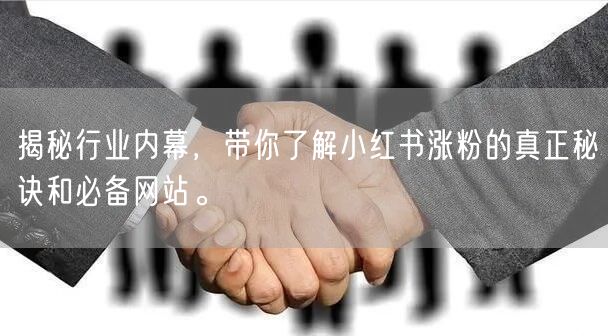 揭秘行业内幕，带你了解小红书涨粉的真正秘诀和必备网站。
