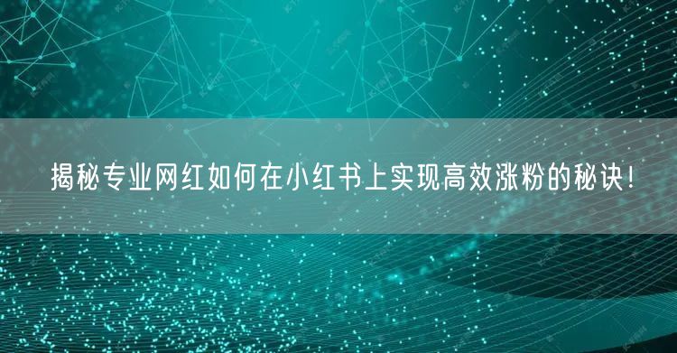 揭秘专业网红如何在小红书上实现高效涨粉的秘诀！