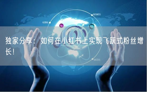 独家分享:如何在小红书上实现飞跃式粉丝增长!
