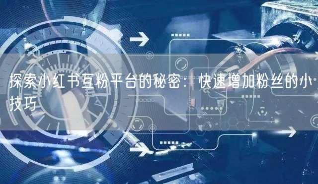探索小红书互粉平台的秘密：快速增加粉丝的小技巧