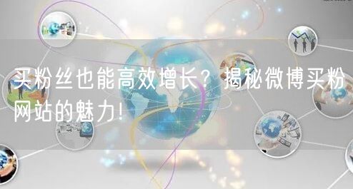 买粉丝也能高效增长?揭秘微博买粉网站的魅力!