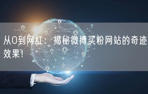 从0到网红：揭秘微博买粉网站的奇迹效果！