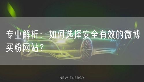 专业解析:如何选择安全有效的微博买粉网站?