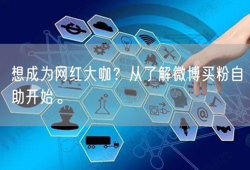 想成为网红大咖？从了解微博买粉自助开始。