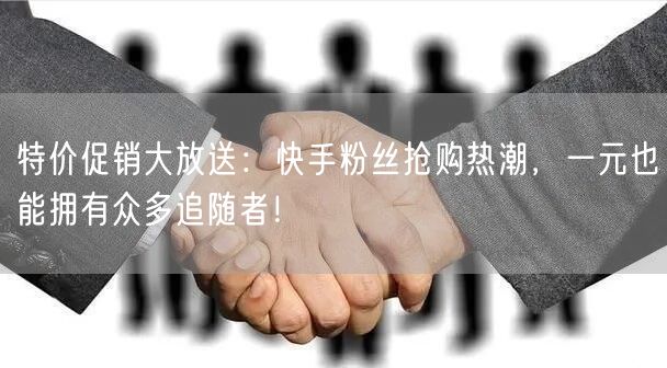 特价促销大放送:快手粉丝抢购热潮,一元也能拥有众多追随者!