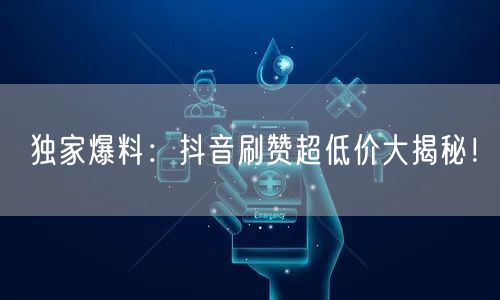 独家爆料:抖音刷赞超低价大揭秘!
