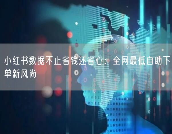 小红书数据不止省钱还省心:全网最低自助下单新风尚