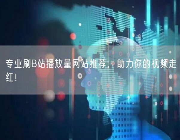 专业刷B站播放量网站推荐，助力你的视频走红！