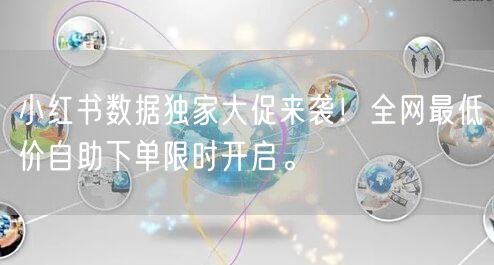小红书数据独家大促来袭！全网最低价自助下单限时开启。