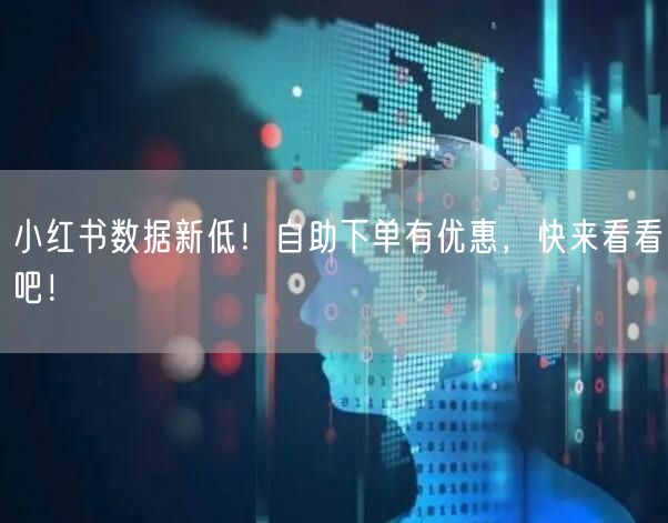 小红书数据新低!自助下单有优惠,快来看看吧!