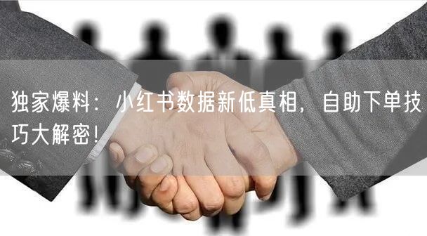 独家爆料:小红书数据新低真相,自助下单技巧大解密!