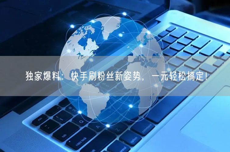 独家爆料：快手刷粉丝新姿势，一元轻松搞定！