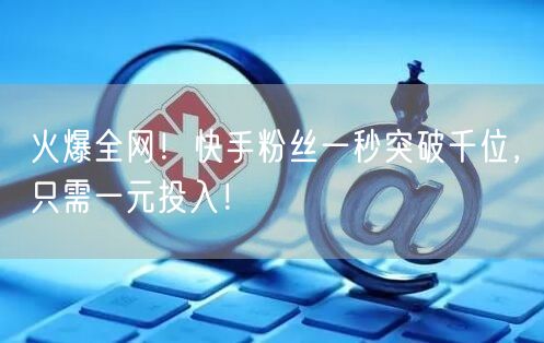 火爆全网！快手粉丝一秒突破千位，只需一元投入！