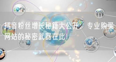 抖音粉丝增长秘籍大公开：专业购买网站的秘密武器在此！