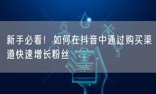新手必看！如何在抖音中通过购买渠道快速增长粉丝