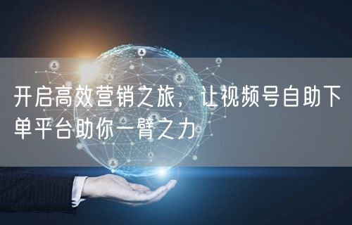开启高效营销之旅,让视频号自助下单平台助你一臂之力