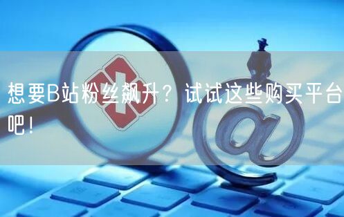 想要B站粉丝飙升？试试这些购买平台吧！