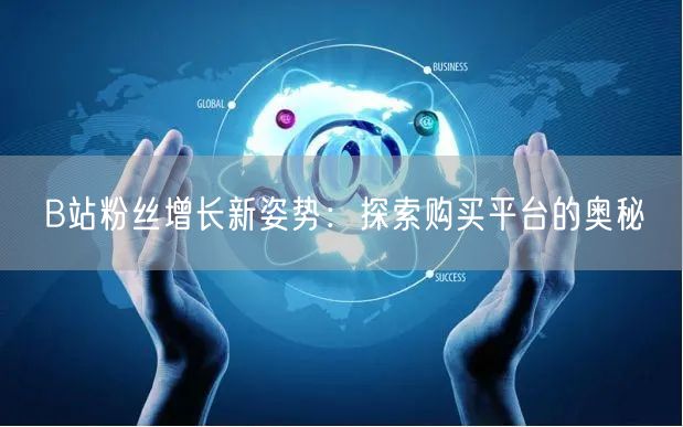B站粉丝增长新姿势：探索购买平台的奥秘