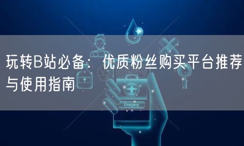 玩转B站必备：优质粉丝购买平台推荐与使用指南