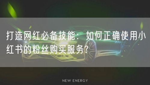 打造网红必备技能:如何正确使用小红书的粉丝购买服务?
