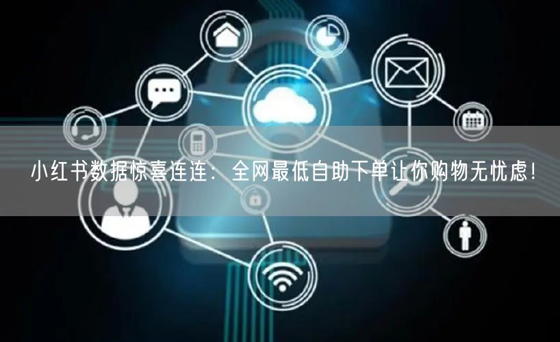 小红书数据惊喜连连：全网最低自助下单让你购物无忧虑！