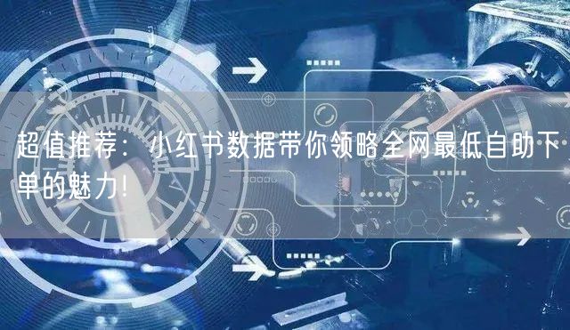 超值推荐：小红书数据带你领略全网最低自助下单的魅力！
