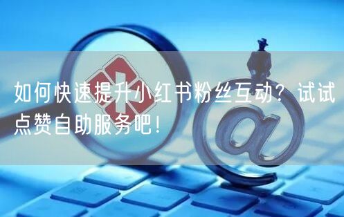 如何快速提升小红书粉丝互动?试试点赞自助服务吧!